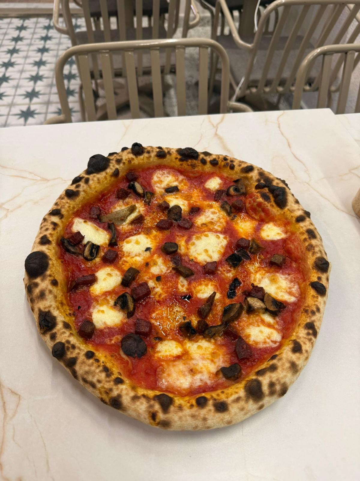 Döner Taş Tabanli Pizza Fırını 